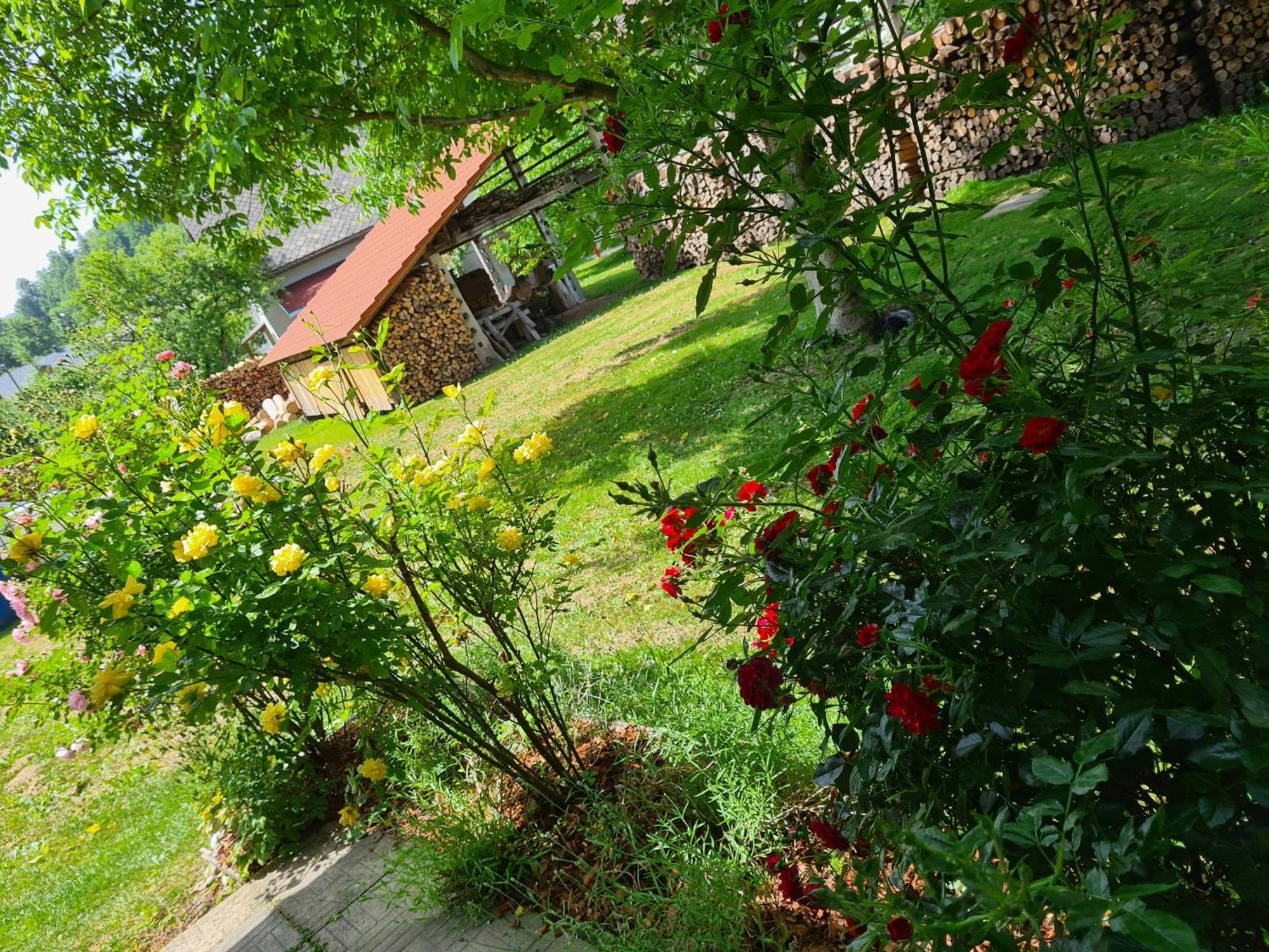 Gostilna Batist Acomodação com café da manhã Bohinjska Bela Exterior foto